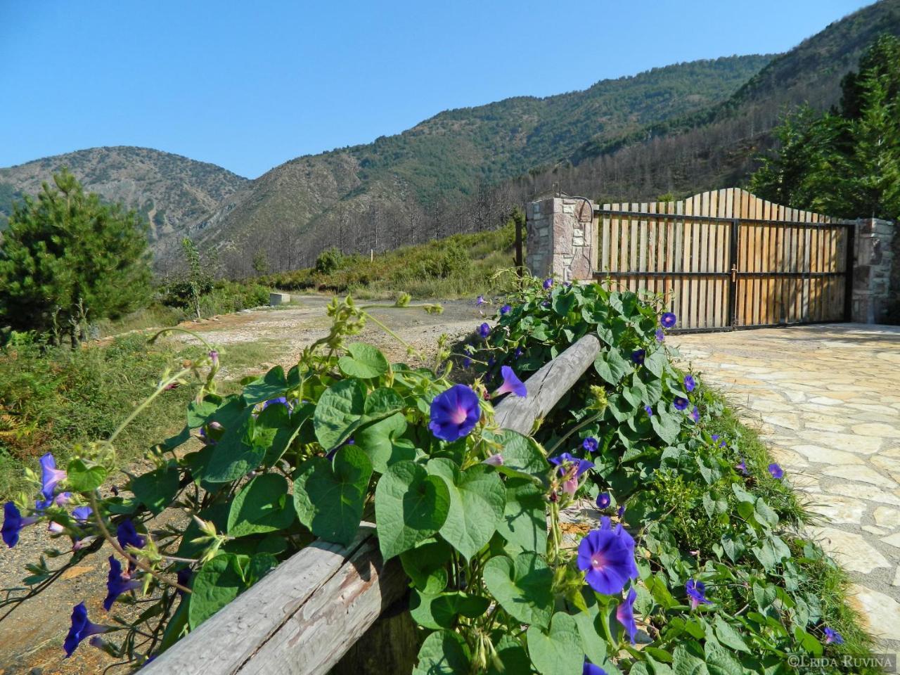 Sofra E Shpatit Hotel Elbasan Eksteriør billede